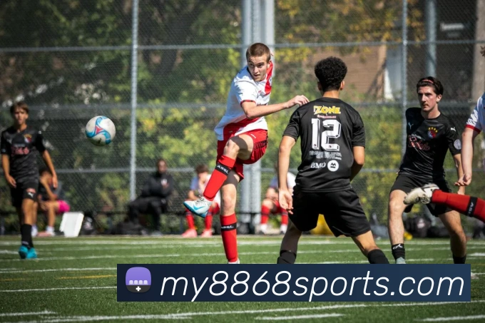 App Interface Preview